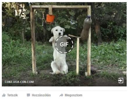 Facebook GIF posztolás