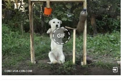 Facebook GIF posztolás